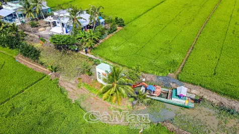 Vĩnh Thanh: Tạo đột phá từ nông nghiệp