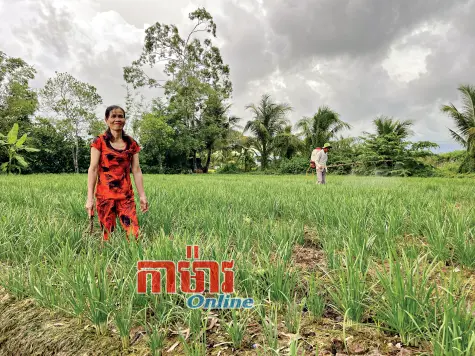 បង្កើនកម្លាំងផ្ទៃក្នុង ដើម្បីកាត់បន្ថយក្រចីរភាព