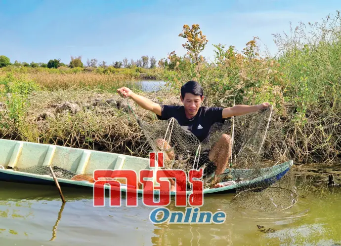 ប្រសិទ្ធភាពនៃទម្រង់ចិញ្ចឹមបង្គាវិបុលវប្បកម្ម ២ ដំណាក់កាល