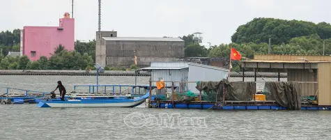 Giải pháp căn cơ chống khai thác IUU