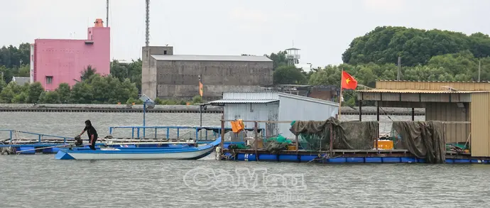 Giải pháp căn cơ chống khai thác IUU