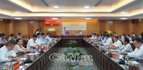 Đẩy nhanh thực hiện Đề án 1 triệu héc-ta lúa chất lượng cao, phát thải thấp