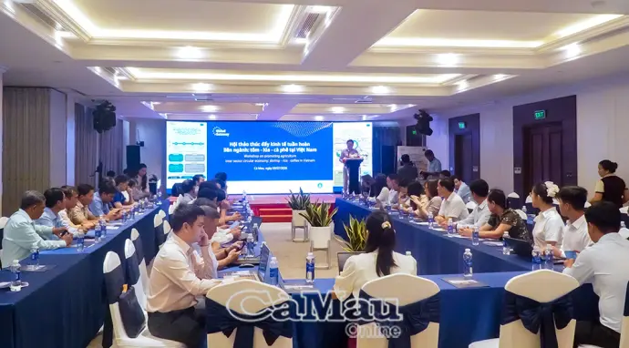 Kết nối 3 ngành hàng chủ lực: tôm Cà Mau, lúa Đồng Tháp và cà phê Đắk Lắk