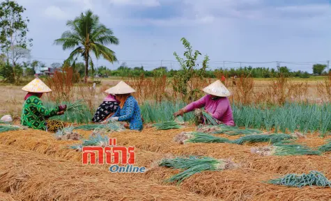 ឧបត្ថម្ភការរស់នៅ និងអភិវឌ្ឍប្រកបដោយចីរភាព