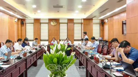Hơn 65% dân số Cà Mau đã được khám sức khoẻ, khám sàng lọc