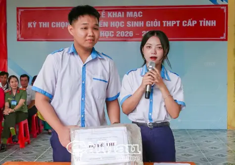 Hơn 600 thí sinh thi chọn đội tuyển học sinh giỏi THPT cấp tỉnh