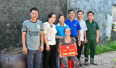Vẹn nghĩa tri ân