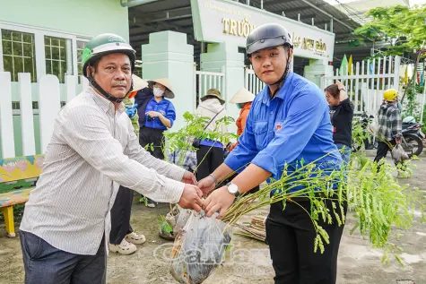Trao những mầm xanh