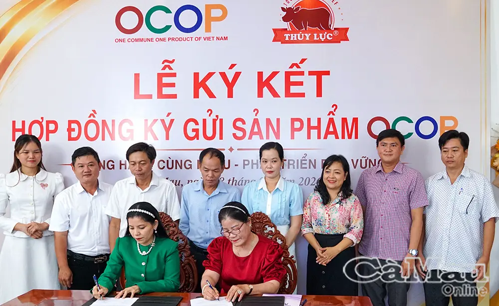 Lực đẩy tăng trưởng bền vững