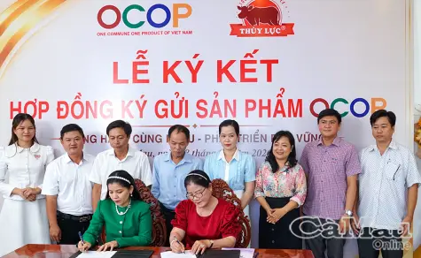 Lực đẩy tăng trưởng bền vững