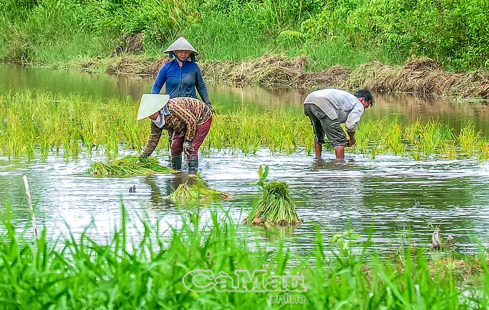 Dân vận khéo, lan toả nghĩa tình