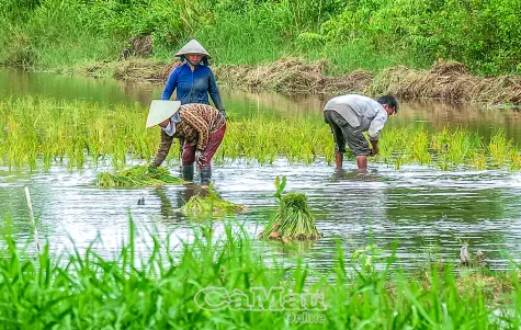 Dân vận khéo, lan toả nghĩa tình
