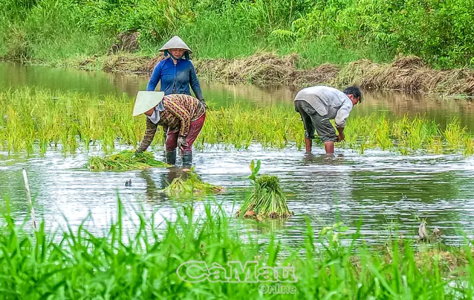 Dân vận khéo, lan toả nghĩa tình