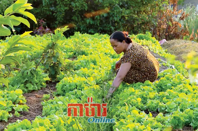 ការផ្លាស់ប្តូរដ៏ធំនៃដើមទុនខ្នាតតូច