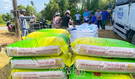 Hỗ trợ nông dân thực hiện mô hình lúa - tôm hữu cơ chất lượng cao
