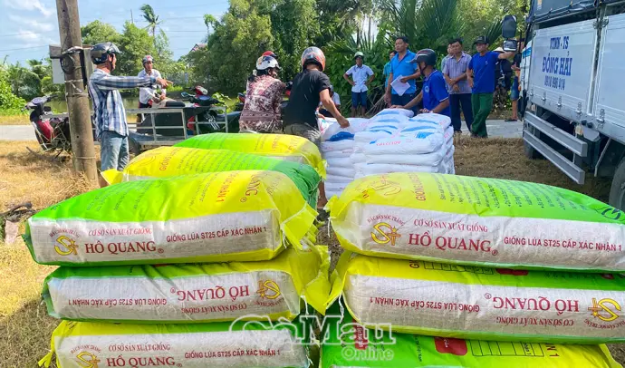 Hỗ trợ nông dân thực hiện mô hình lúa - tôm hữu cơ chất lượng cao