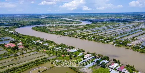 Khơi thông nguồn lực, bứt phá mục tiêu