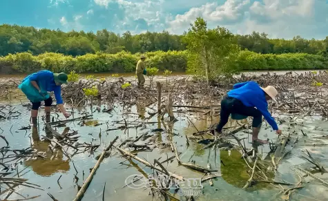 Người trẻ giữ đất, giữ rừng