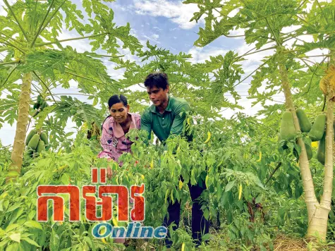 ខិតខំប្រឹងប្រែងដើម្បីរួចចាកក្រ