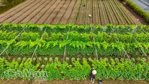 Một vùng đất, nhiều sinh kế