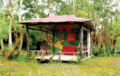 Giữ mạch tri thức đất Cà Mau