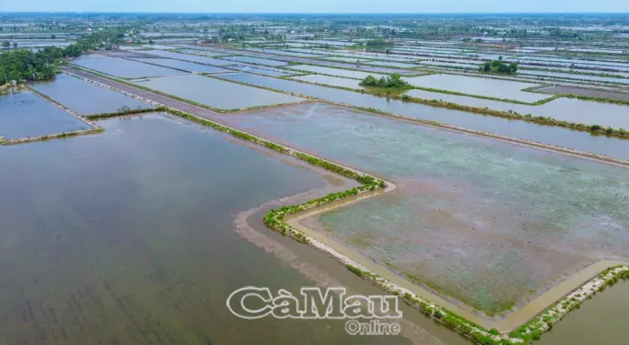 Cà Mau tăng tốc chiến dịch làm sạch dữ liệu đất đai