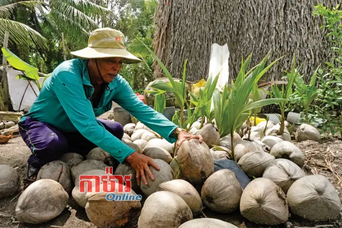 យុទ្ធជនពិការ រួមកម្លាំងកសាងភូមិស្រុក