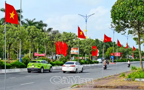 Rực rỡ mùa hoa Tết độc lập