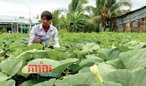 ជីវិតរស់នៅស្ថិរភាព - អនាគតនឹងពេញដោយភាពសុខសាន្ត