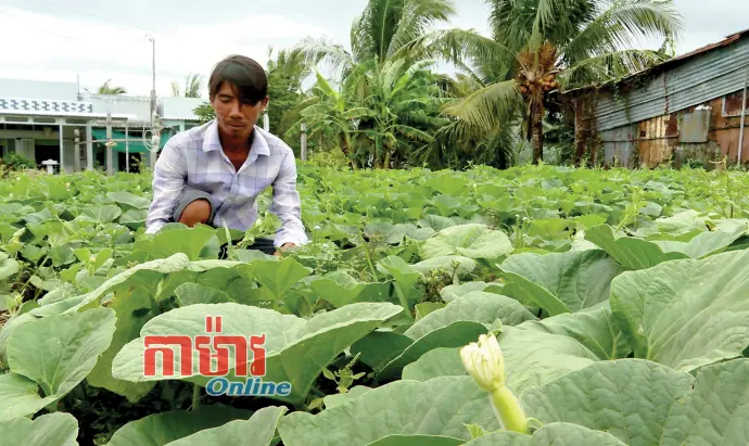ជីវិតរស់នៅស្ថិរភាព - អនាគតនឹងពេញដោយភាពសុខសាន្ត