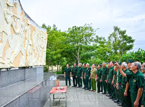 Trên quê hương anh hùng