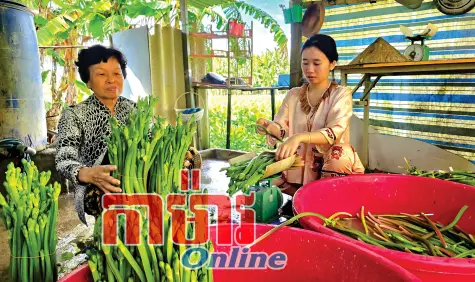 ក្តីរីករាយនៅភូមិបន្លែត្រចៀកប្រើស