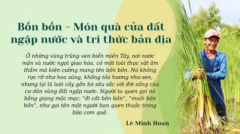 Bồn bồn - Món quà của đất ngập nước và tri thức bản địa