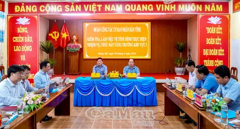 Nỗ lực để các chỉ tiêu khu vực I đều đạt và vượt