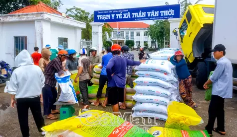 Cấp lúa giống, vật tư hỗ trợ nông dân sản xuất lúa chất lượng cao, phát thải thấp
