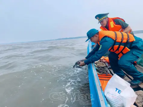 Thả cá thể vích quý hiếm về biển