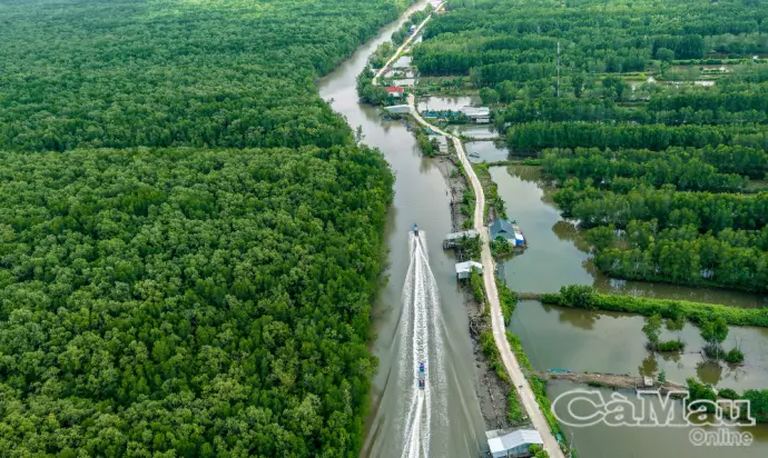 Xóm giữa rừng