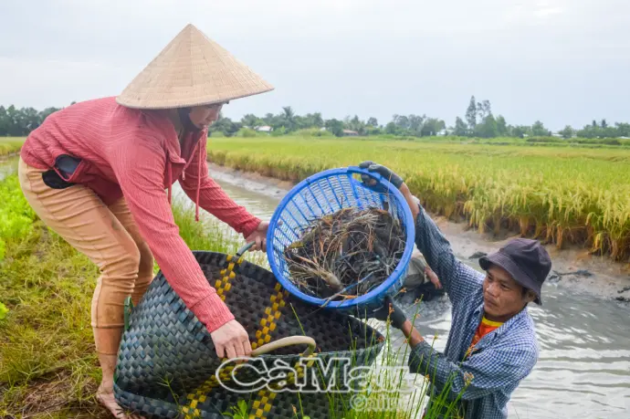 Tiếp sức nông dân chuyển đổi sản xuất