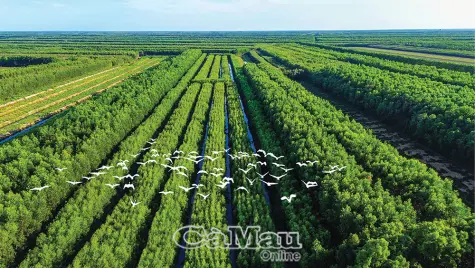 “Dấu vân tay sống” của một vùng đất