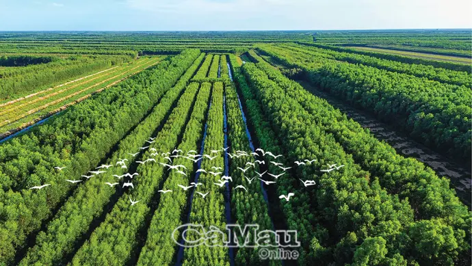 “Dấu vân tay sống” của một vùng đất