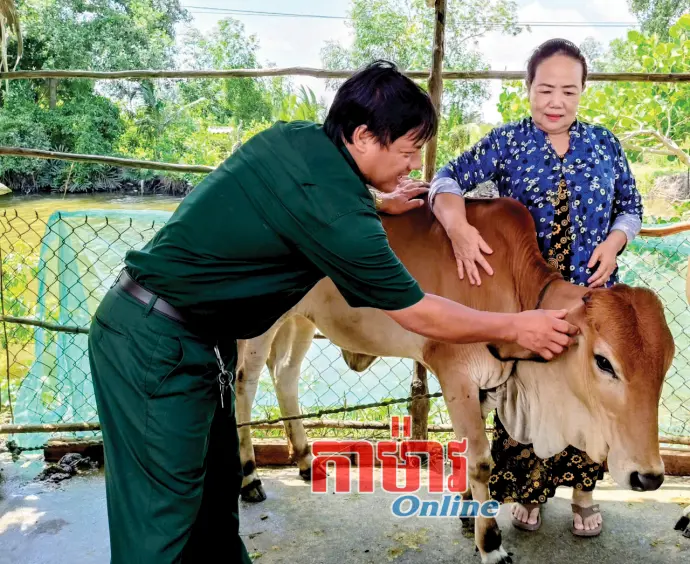 ចិញ្ចឹមគោពូជ លំនឹងជីវភាព