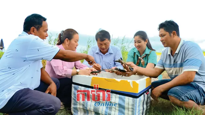 មានដើមទុន ទម្រង់រកស៊ីមានប្រសិទ្ធភាព
