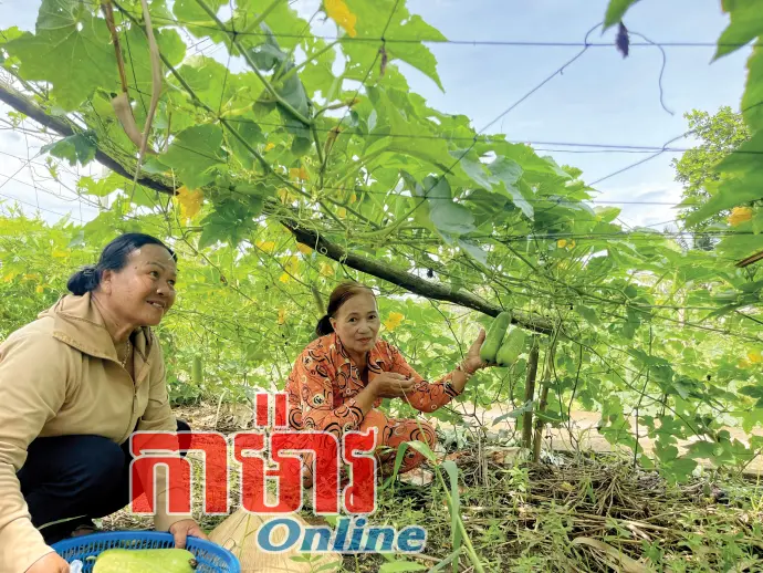 គ្រប់គ្រង តាមដានកម្រិតអភិវឌ្ឍន៍តំបន់ជនរួមជាតិឱ្យស្របតាមការជាក់ស្តែង