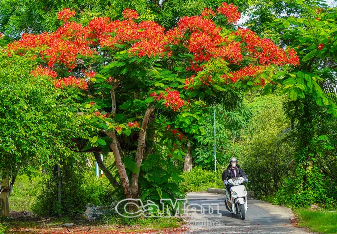 Chung sức hoàn thiện giao thông nông thôn
