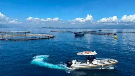 Khai mở không gian phát triển mới