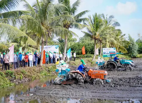 Nâng giá trị lúa thơm - tôm sạch