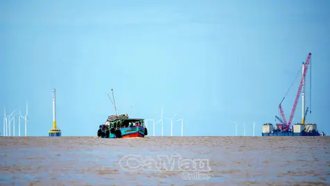 Siết chặt quản lý VMS tàu cá