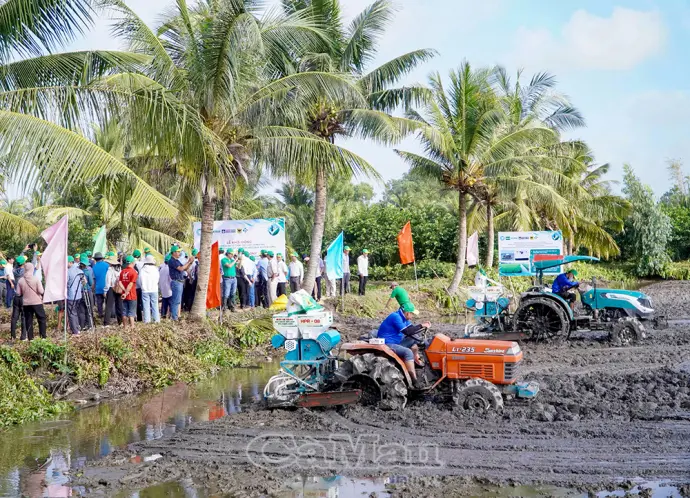 Nâng giá trị lúa thơm - tôm sạch