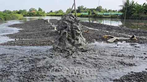 Cải tạo ao, đầm đúng quy định, bảo vệ môi trường nước