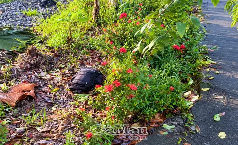 Báo tin giả đến cơ quan công an là hành vi vi phạm pháp luật